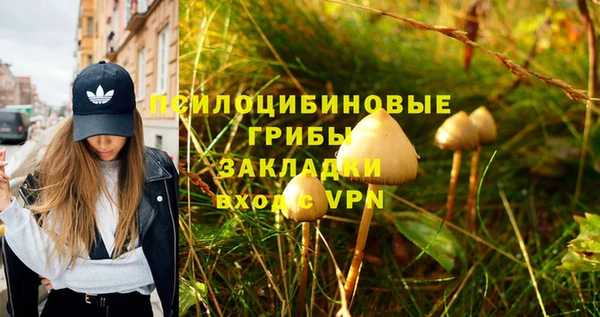 синтетический гашиш Кинешма